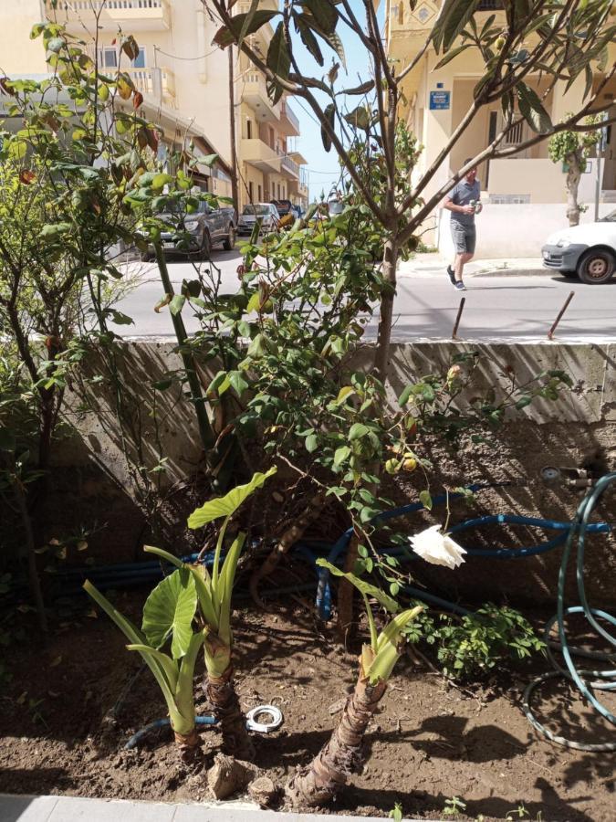 Hrysanthl Appartement Chania  Buitenkant foto